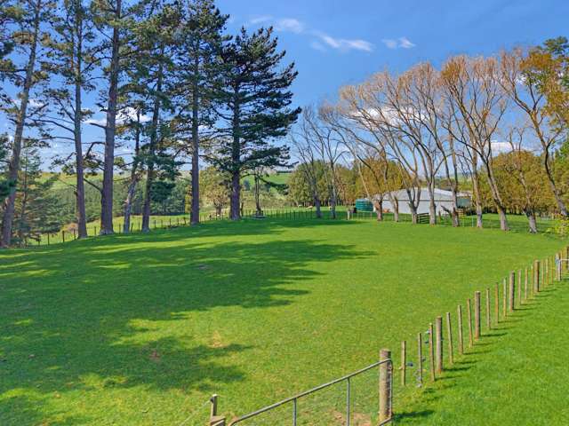 Carr Street Ormondville_1
