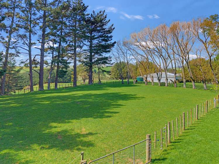 Carr Street Ormondville_1