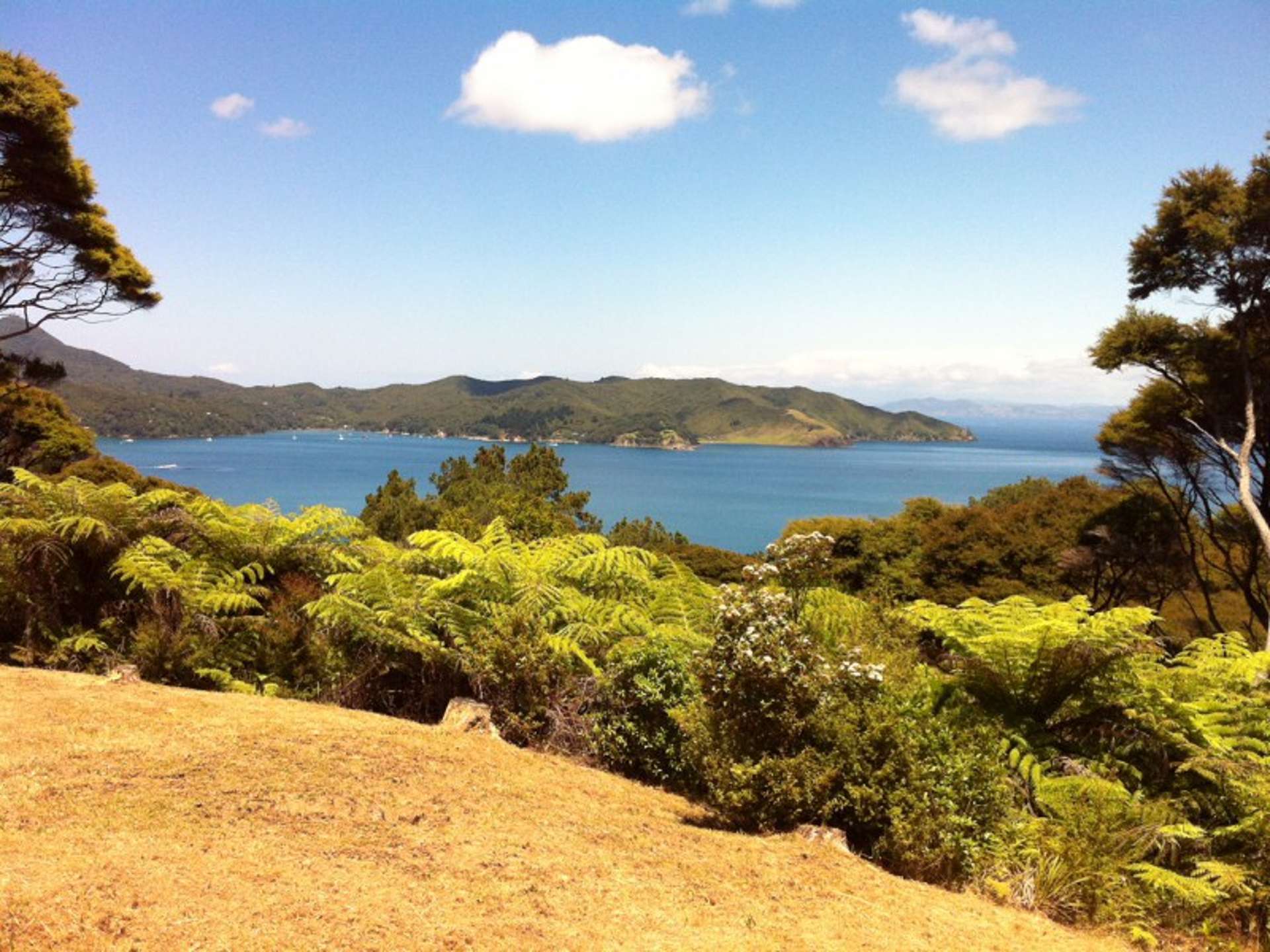 28 Schooner Bay Road Great Barrier Island (Aotea Island)_0