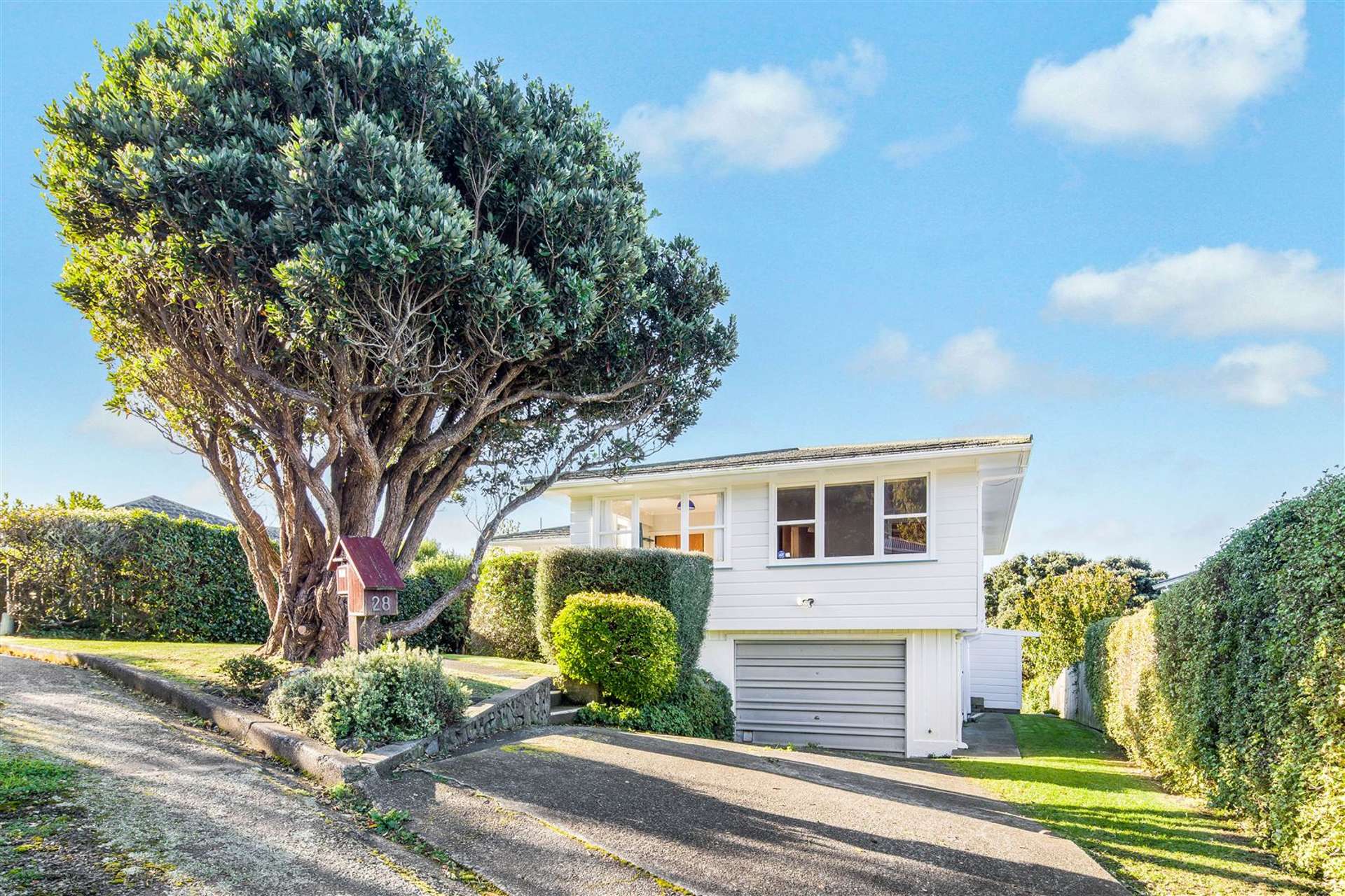 28 Fairburn Grove Johnsonville_0