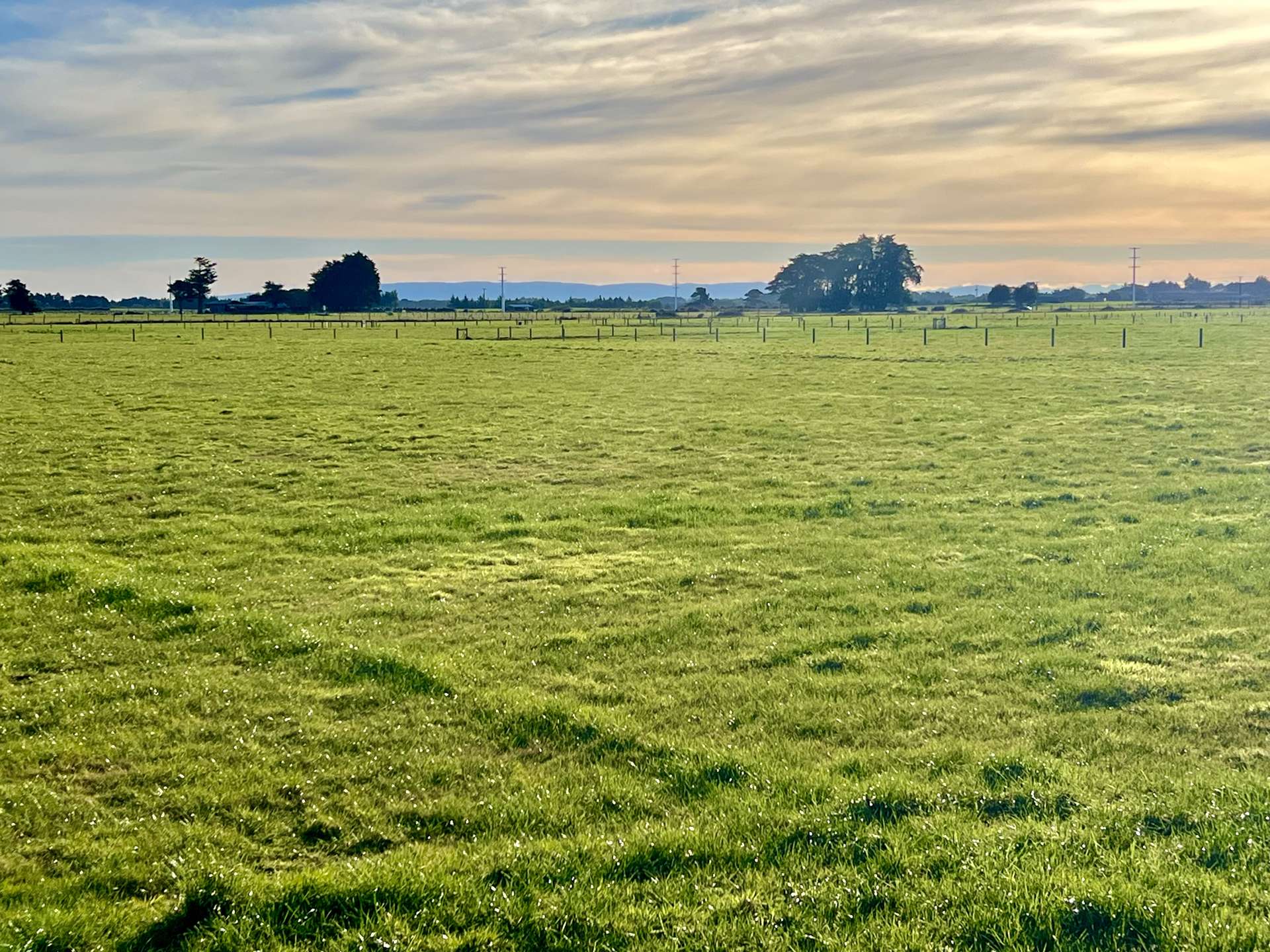 35 Wilson Road South Motu Rimu_0