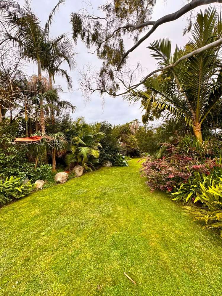  23 Pasadena Avenue Point Chevalier_19
