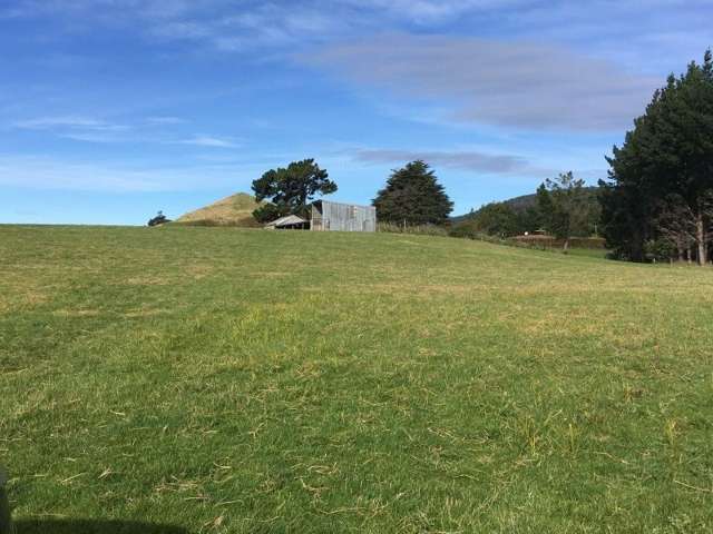 747 Niagara Tokanui Highway Catlins Surrounds_3