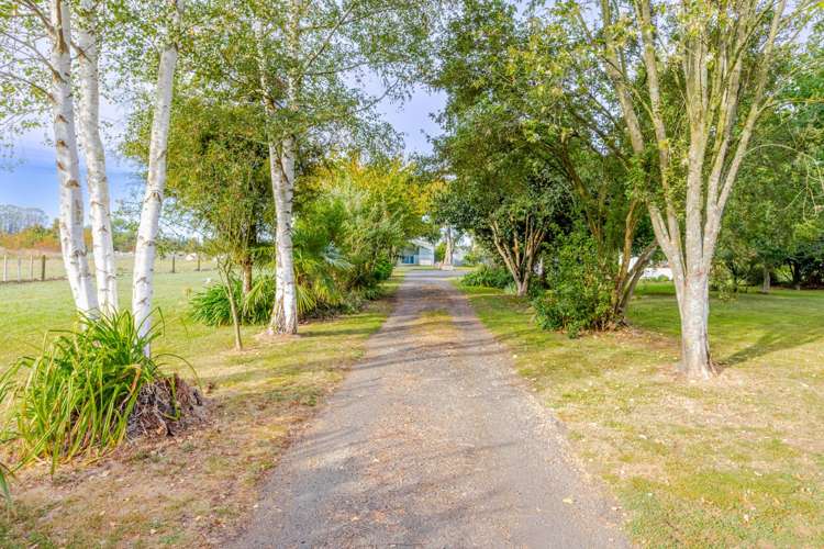 97 Matheson Road Tikokino_26