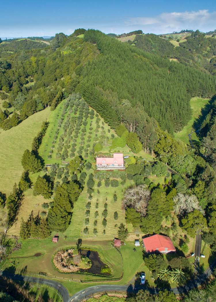 79 Ross Road Parua Bay_19