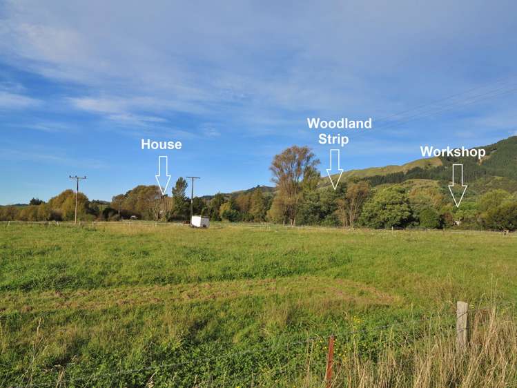 99 Clifton Road Kahurangi National Park_10