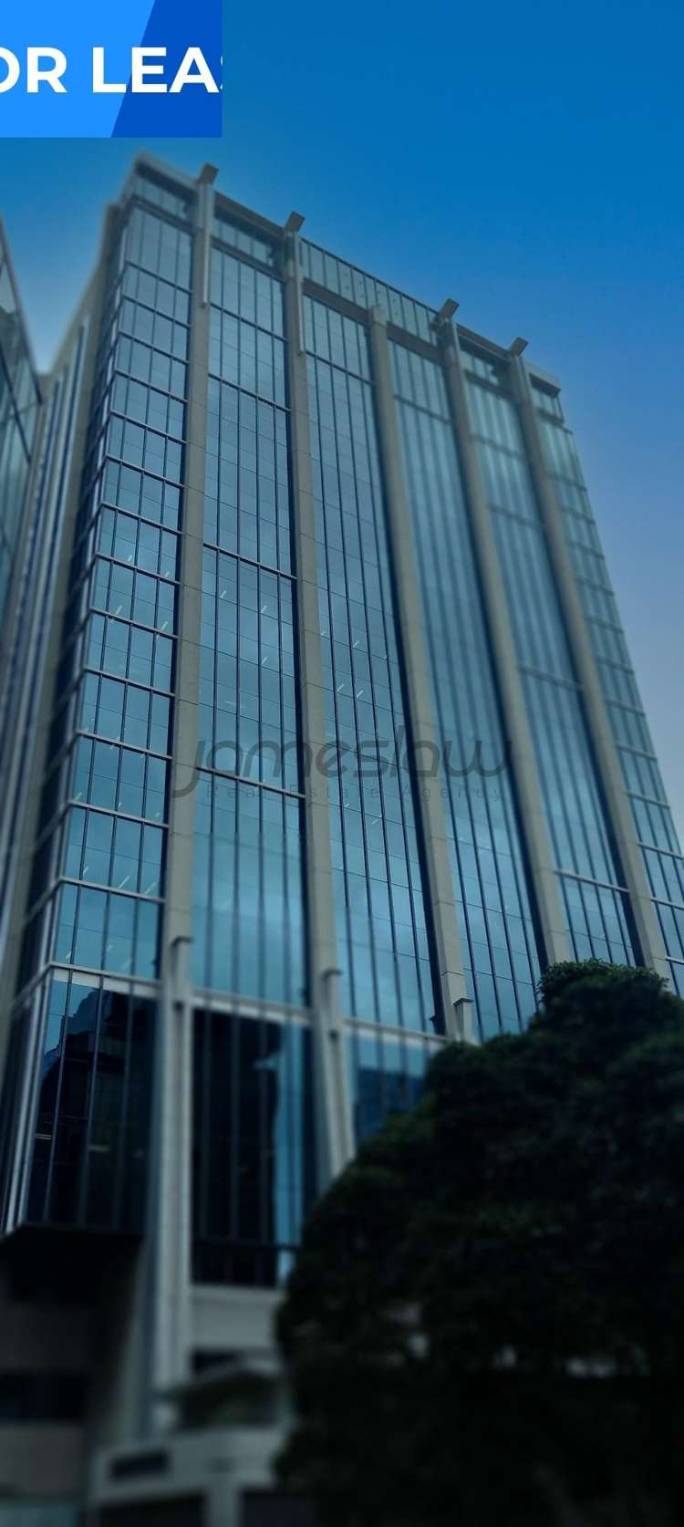 Part Level 11/41 Shortland Street_0