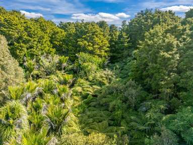 2/115 Lawrence Road_4