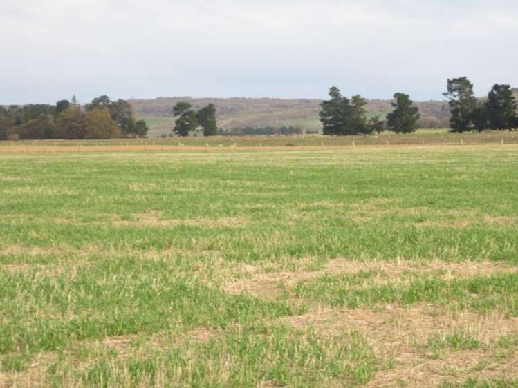 759 Gladbrook Road Middlemarch_6