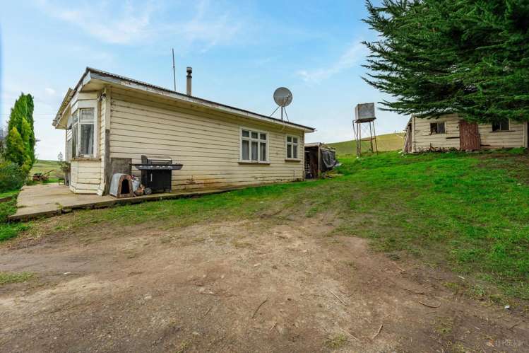 3763 Hampden-Palmerston Road, Hillgrove Moeraki_14