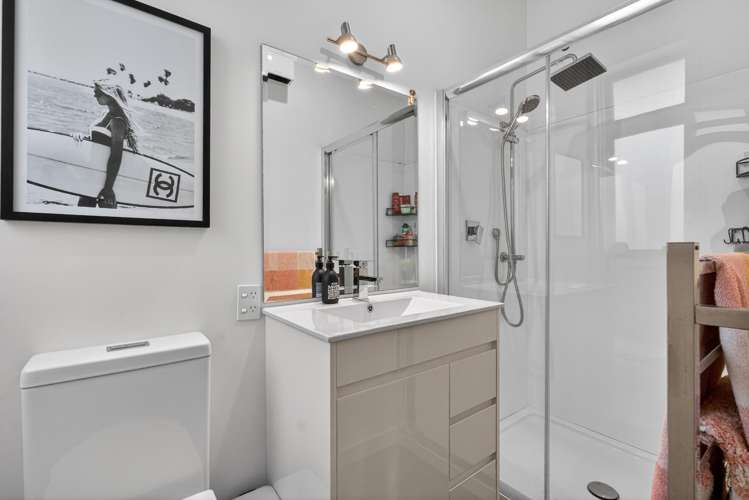 38 Mills Street Boulcott_19