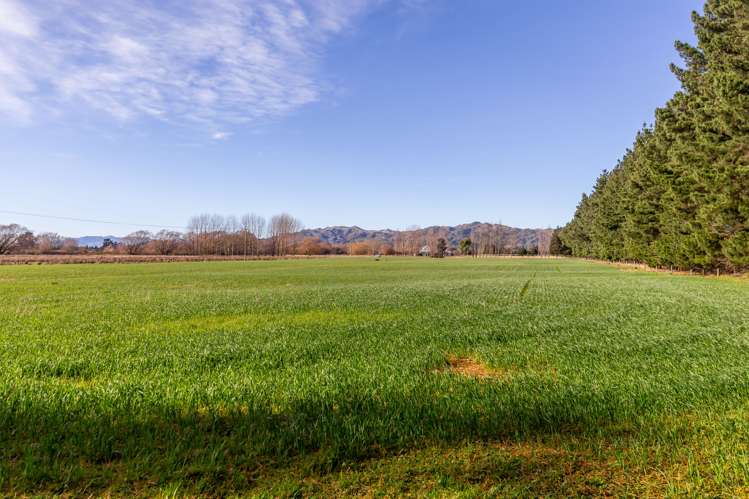 Gilberts Road Waikari_8