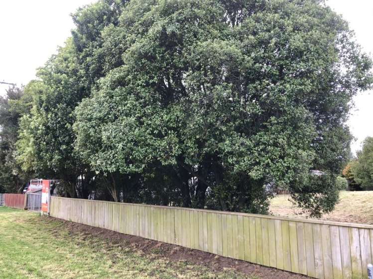 145 Rolleston Street Rakaia_12