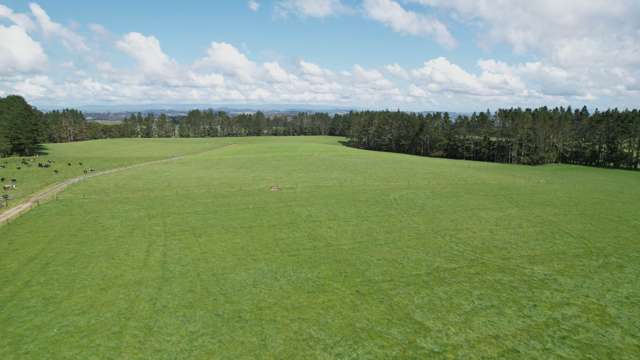 82.9ha Prime Kerikeri Land
