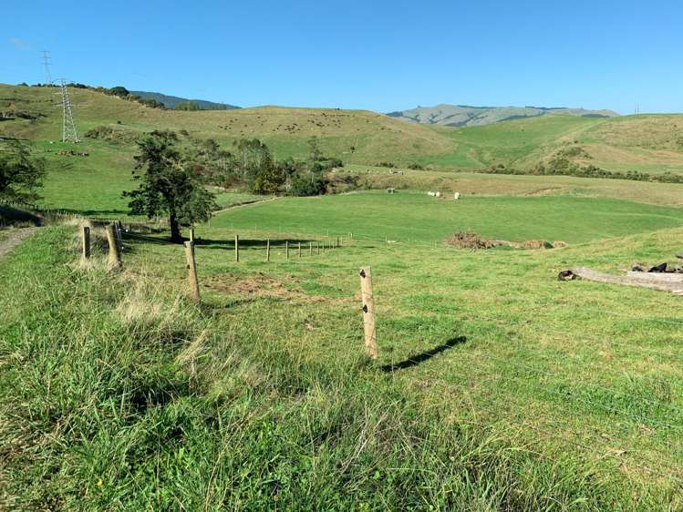 114 Aorangi Road Paeroa_13
