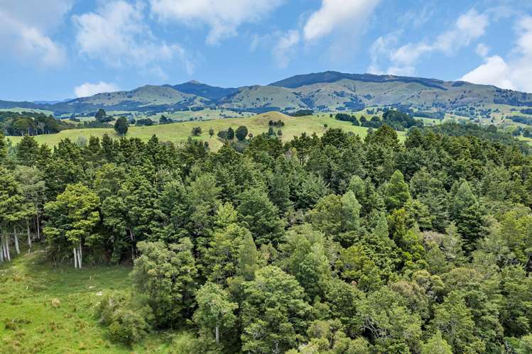 Pipiwai Road Purua_20