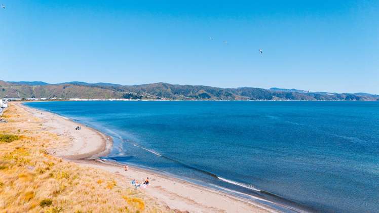 23 Nelson Street Petone_22