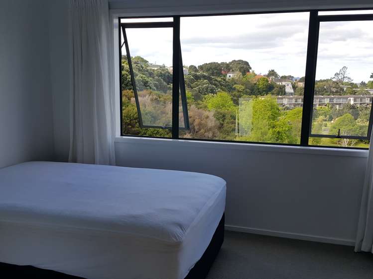 3j Laxon Terrace Remuera_7