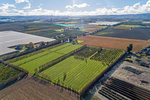 153 Willows Road Matawhero_3