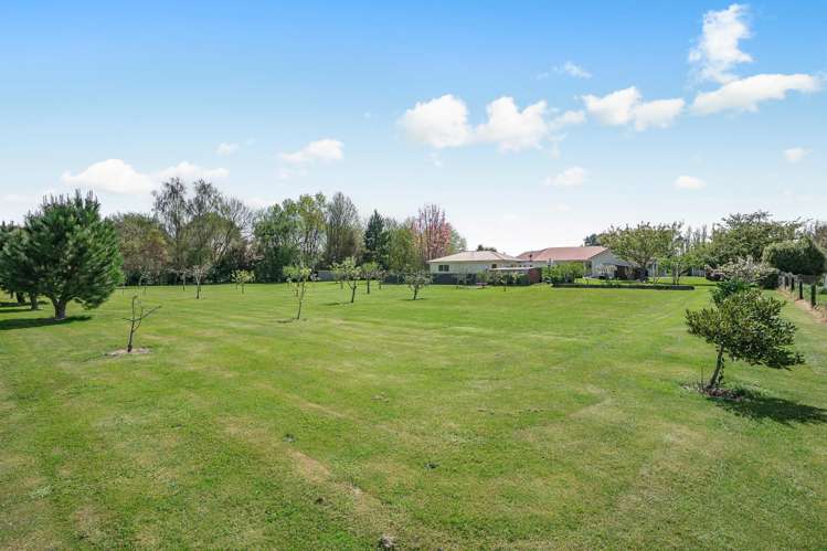 37 North Street Greytown_32