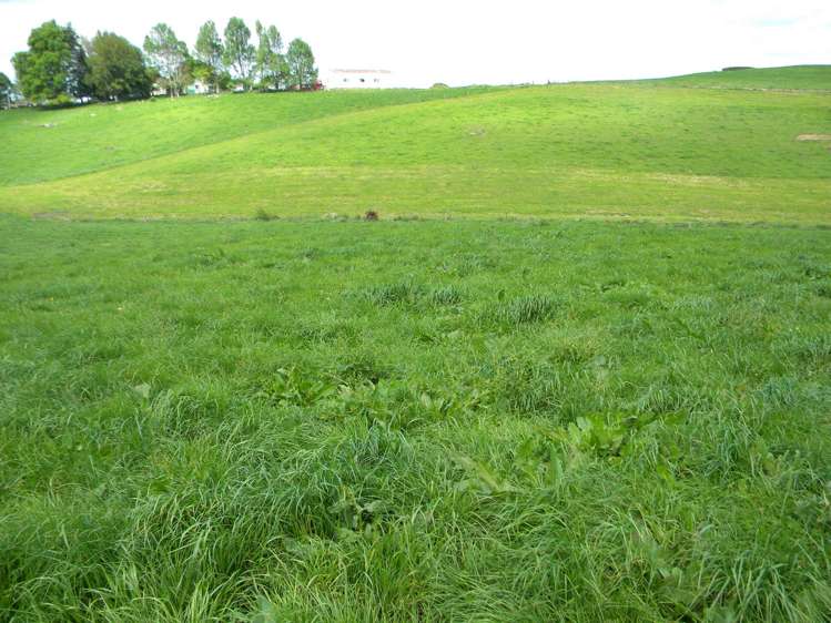 Lot 1 Pokuru Road Te Awamutu_5