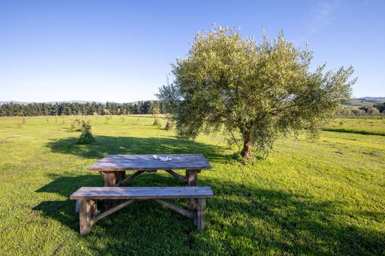 478p Omihi Road Waipara_7