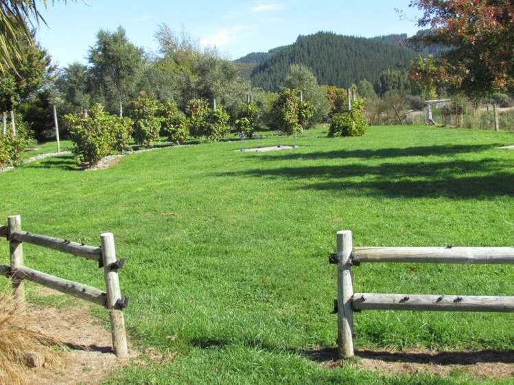 1008 Kaituna Tuamarina Road Kaituna_11