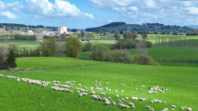 559 Waipahi Highway Mcnab_3