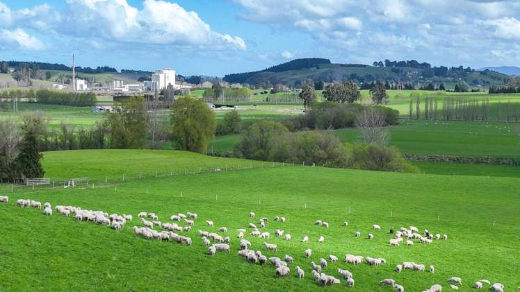 559 Waipahi Highway Mcnab_3