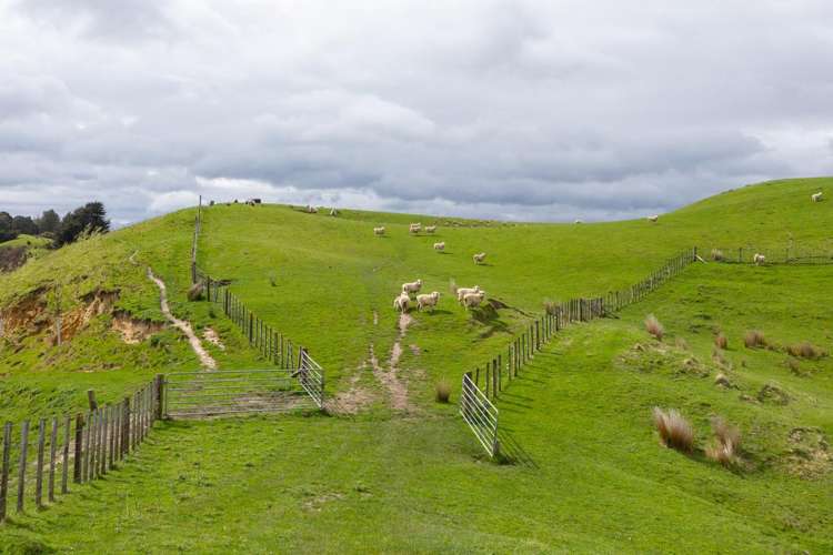 1250 Kaukatea Valley Road Okoia_11