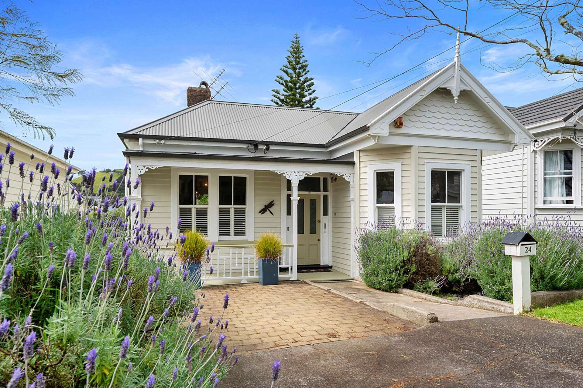 24 Roslyn Terrace Devonport_0