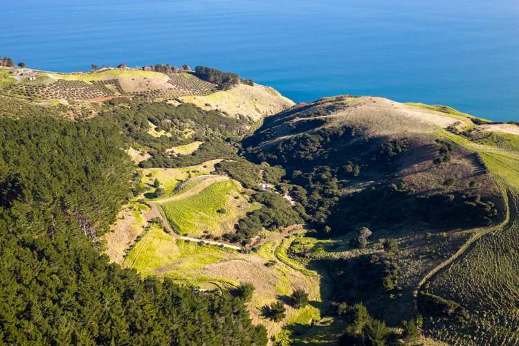 380 Whaanga Road Raglan_32