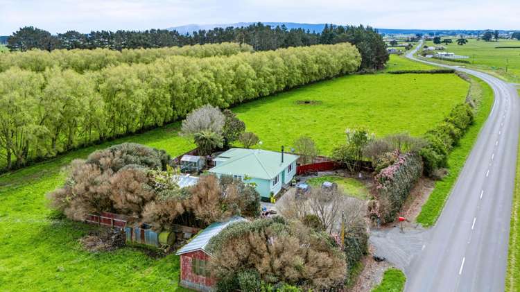 985 Manaia Road Kapuni_3
