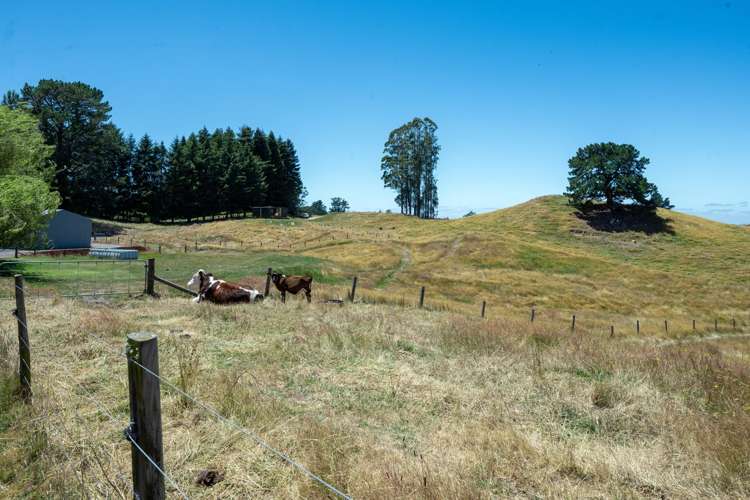 93 Oak Drive Wairakei and Surrounds_36