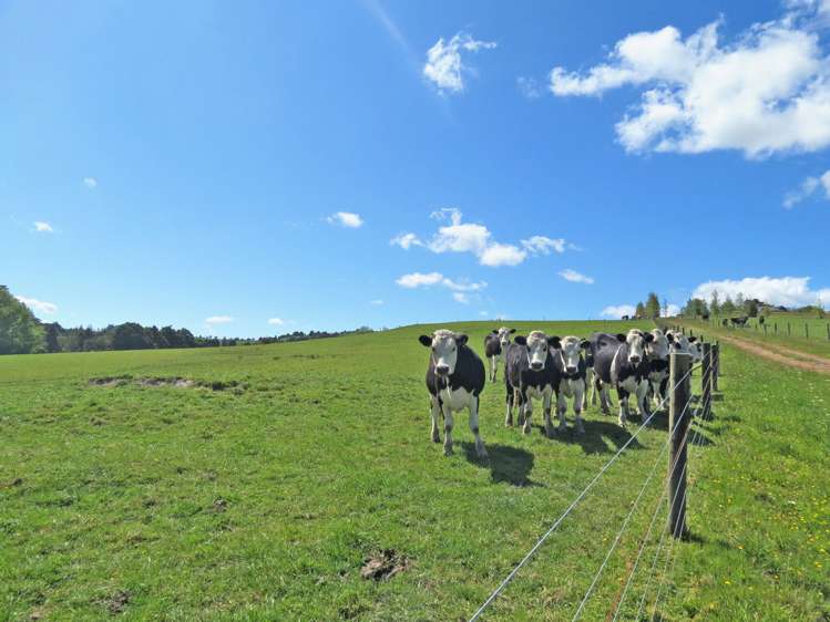 202 Knight Road Ruatangata_9