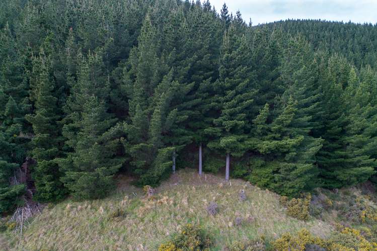 569 Mcqueens Valley Road Gebbies Valley_10