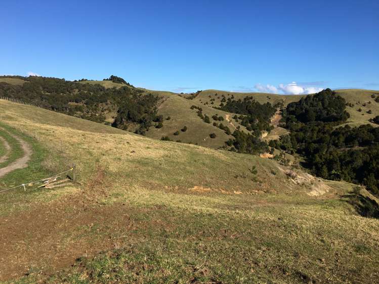 539 Martin Road Kaeo_10