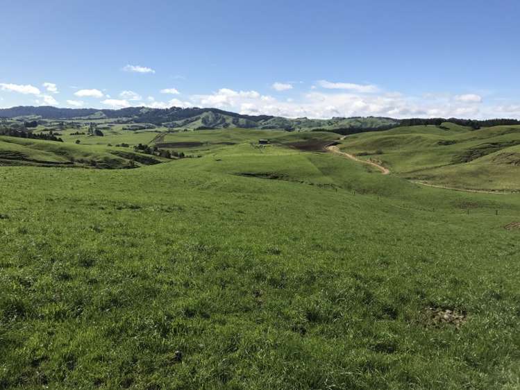 1232 Ngaroma Road Wharepuhunga_9