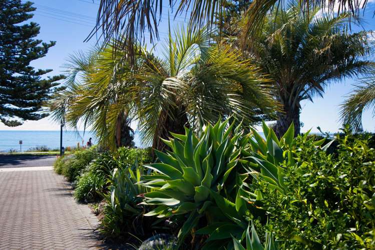 178 Esplanade Kaikoura_29