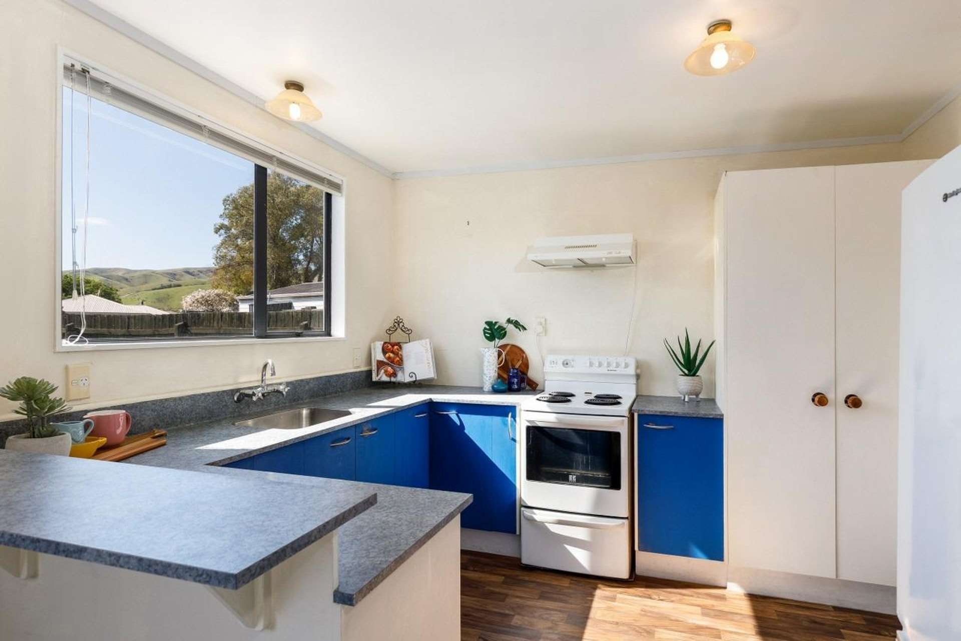 9 Manatu Place Witherlea_0