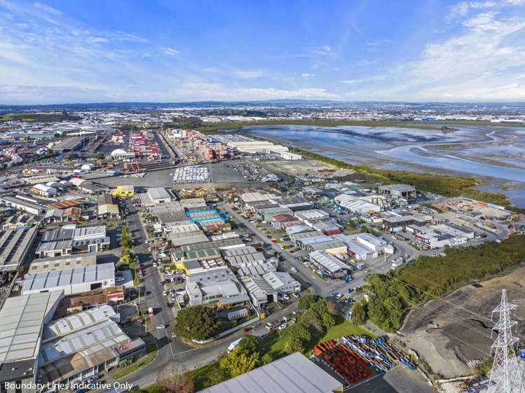 18-20 Pukemiro Street Onehunga_8