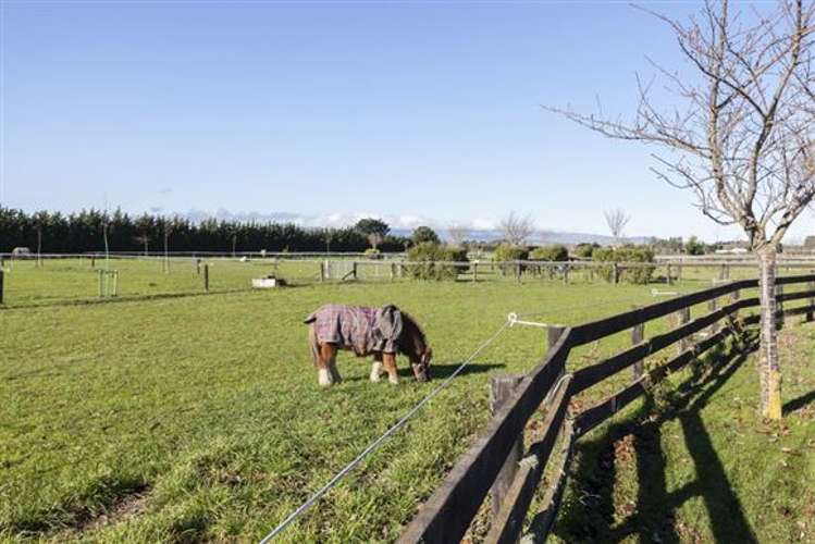 65 Maddisons Road Templeton_3