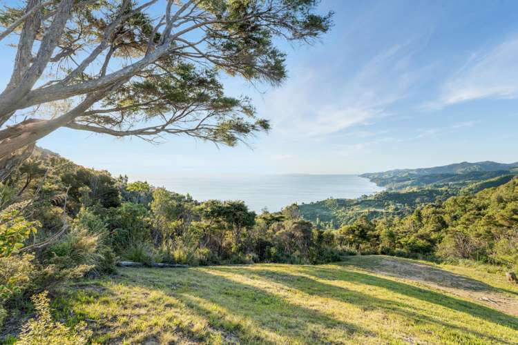 98 Tapu Rise Heights Thames_17