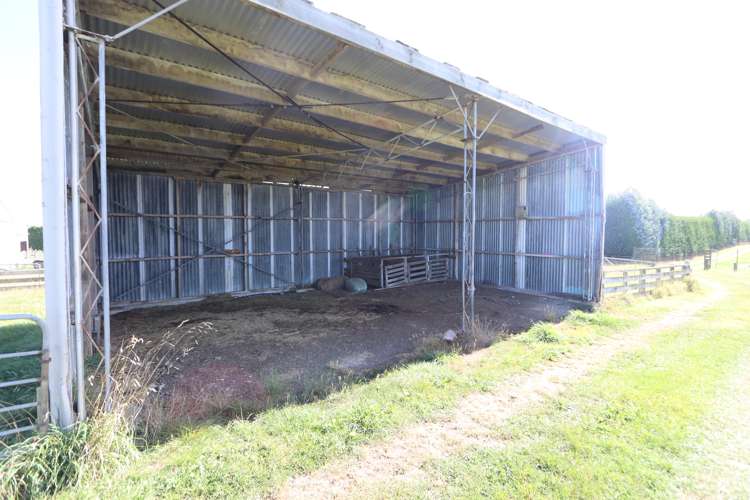 67 Lorne Dacre Road Lorneville_9