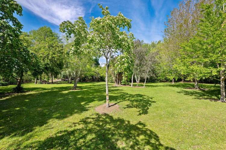 158 Murrays Road Rapaura_51