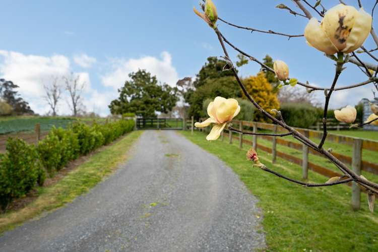 3/88 Lamb Street Leamington_22