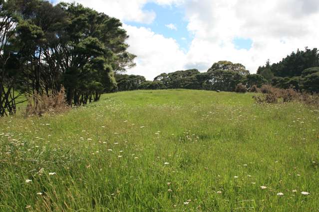 1295 Old North Road Helensville_2