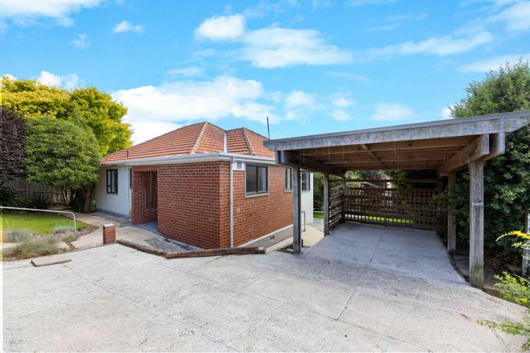 41 Mayfield Avenue Wakari_3