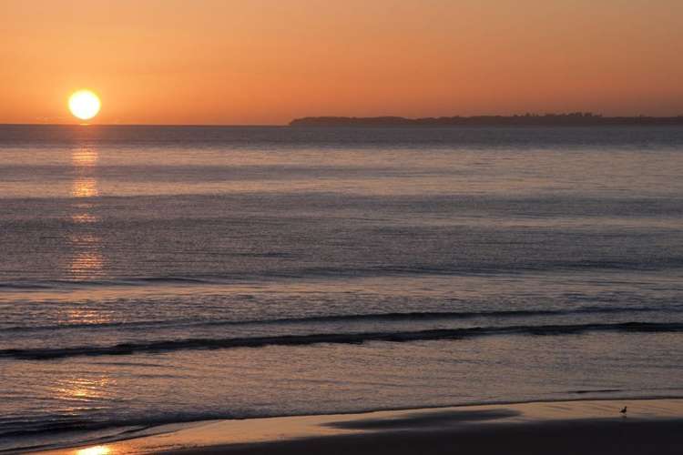 39 Coast Boulevard Papamoa_5