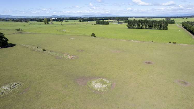 174 Wiltons Road Carterton_23